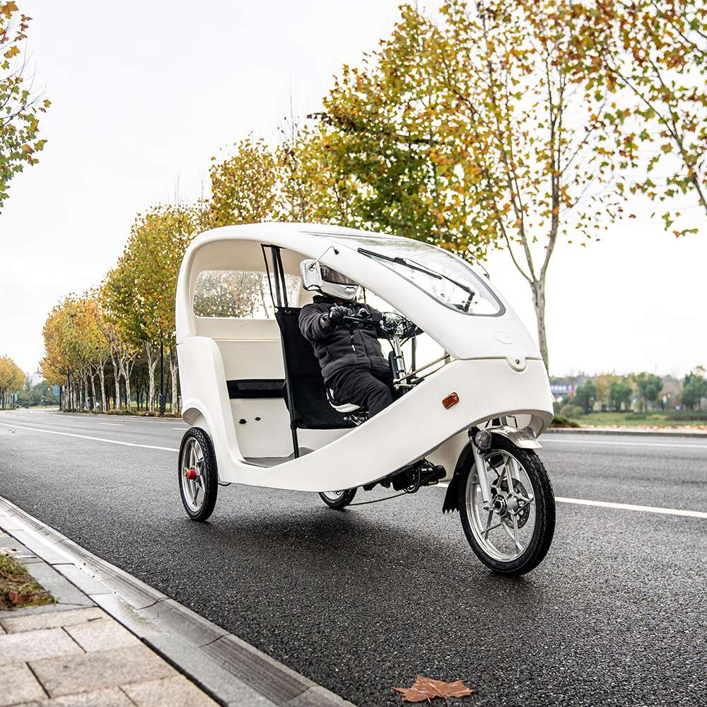 Custom Electric Tricycle Manufacturer cover
