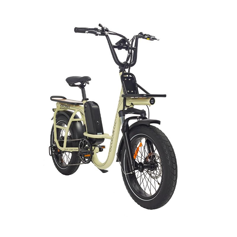 Family Cargo Electric Bike