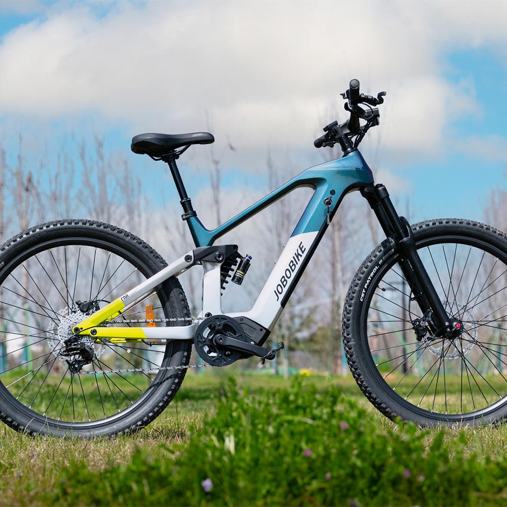Carbon Electric Bike