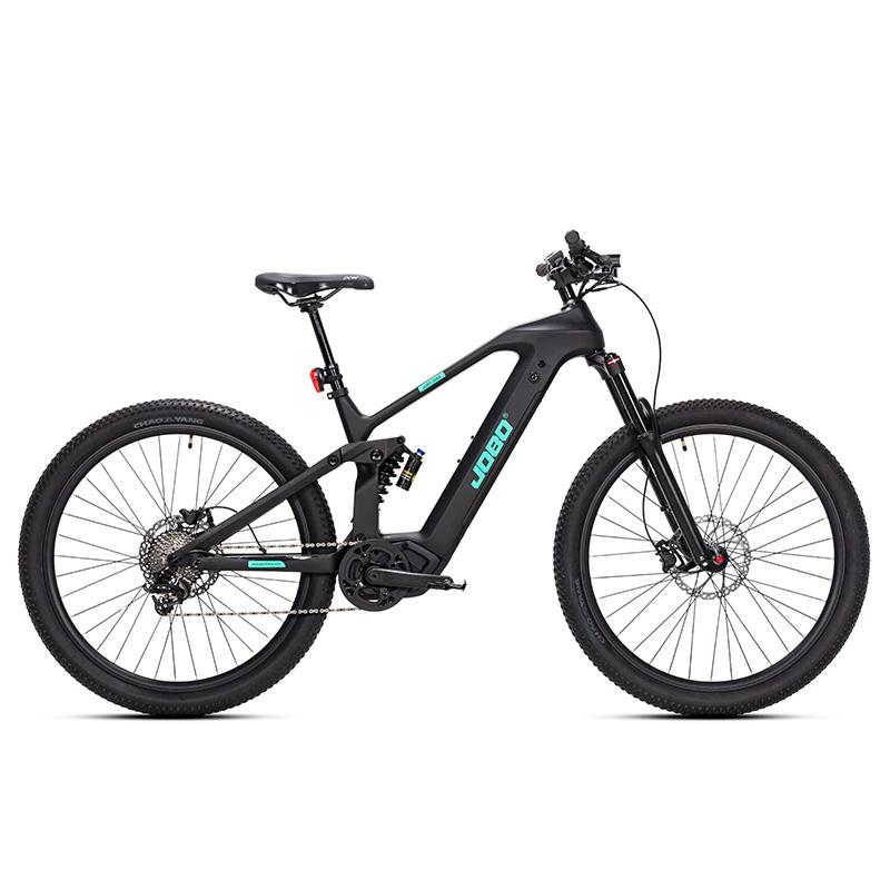 Carbon Electric Bike