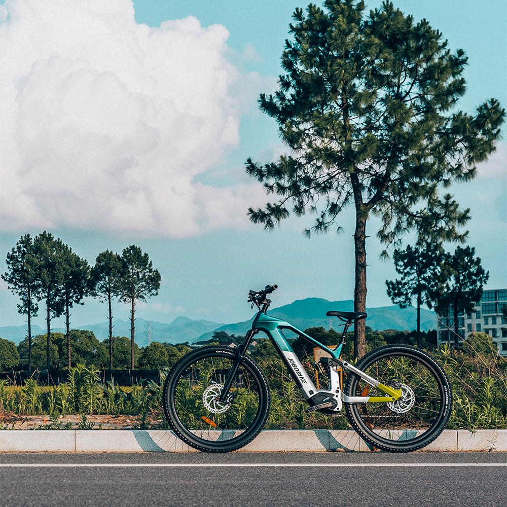 Carbon Electric Bike