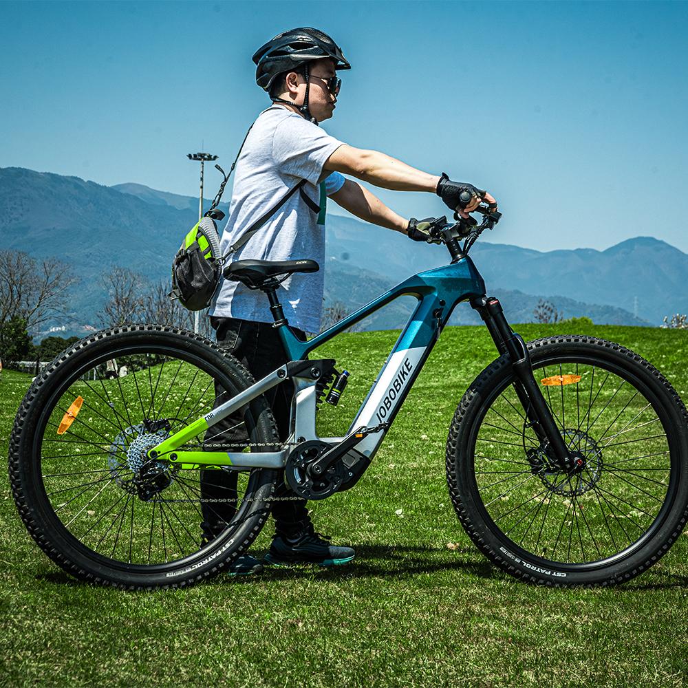Carbon Electric Bike
