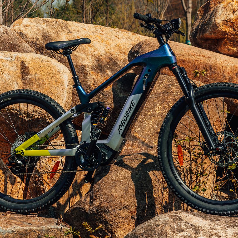 Carbon Electric Bike