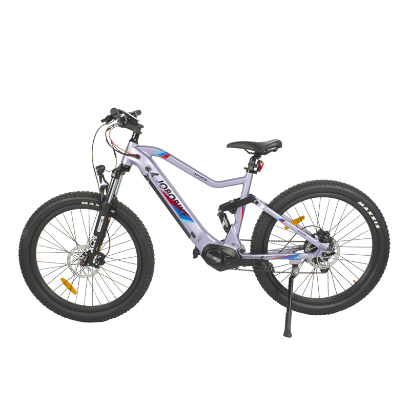 How to Choose the Right Large-Scale E-Bike Manufacturer