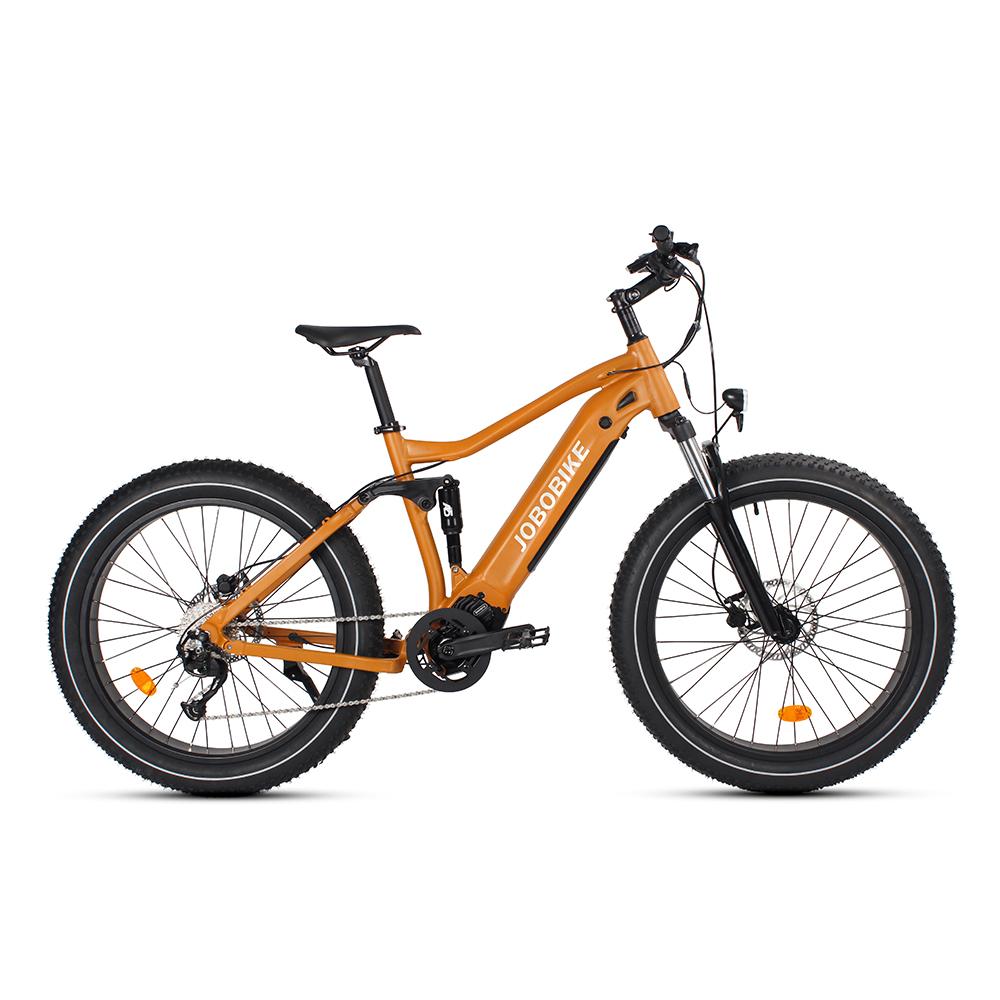 Reliable E-Bike Supplier with Competitive Global Pricing