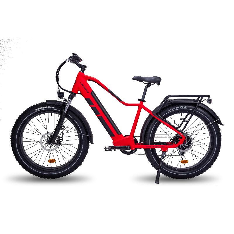 Fat Tire Mountain Ebike
