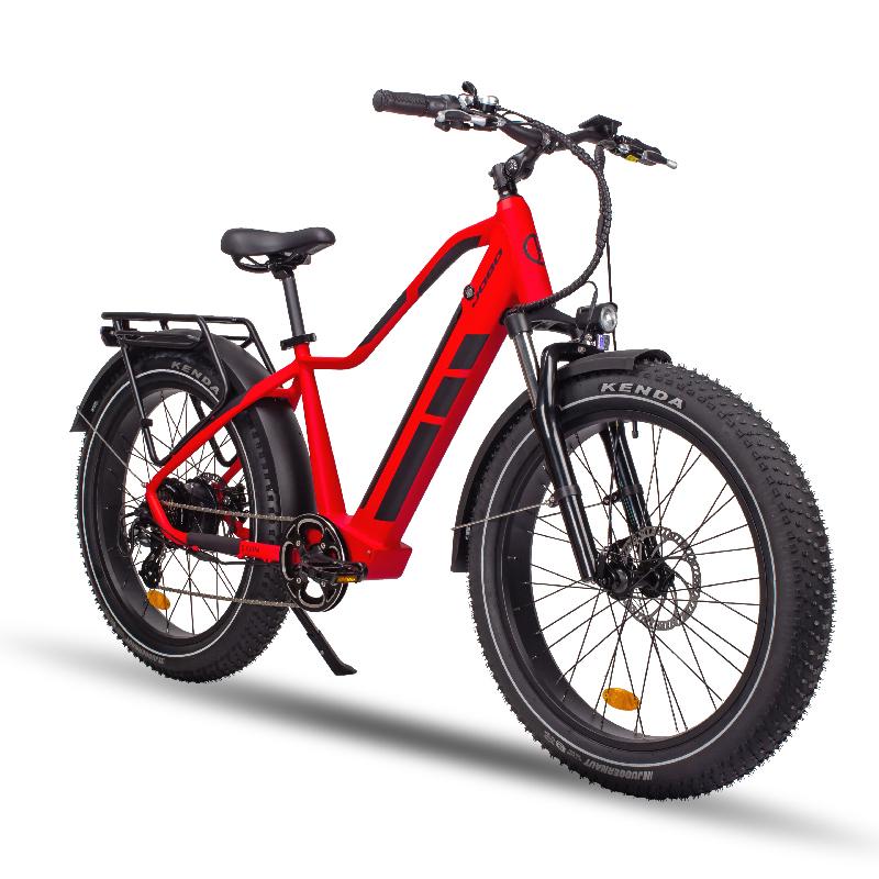 Fat Tire Mountain Ebike