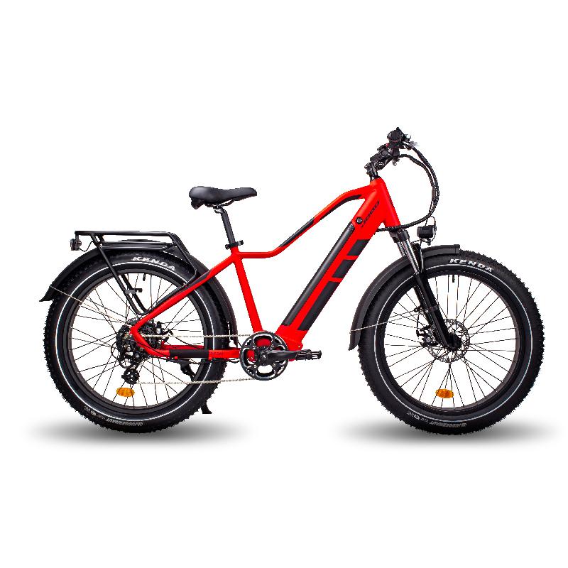 Fat Tire Mountain Ebike