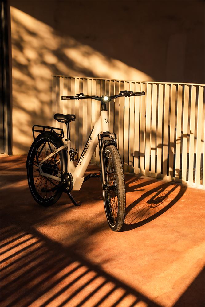 OEM Electric Bikes: The Smart Way to Launch and Scale in the E-Bike Market