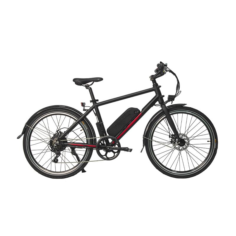 Lightweight City E-Bike