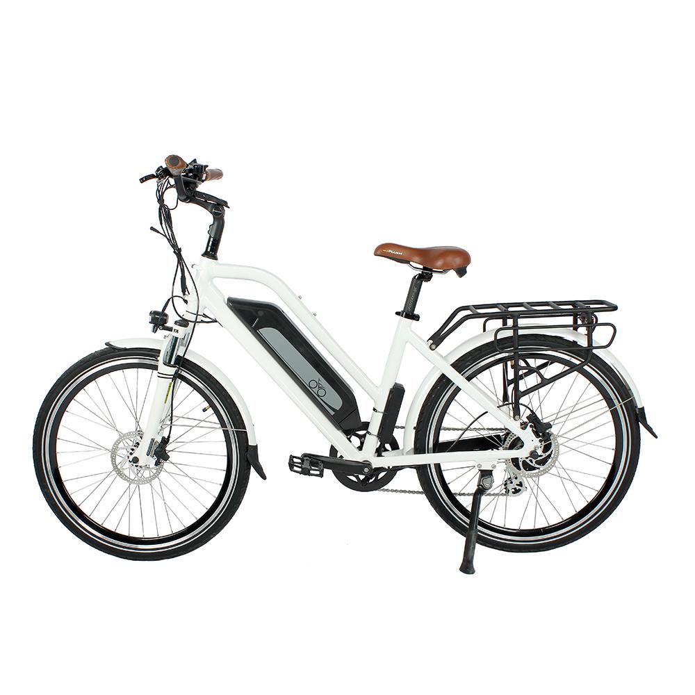 26 Inch Electric Bike