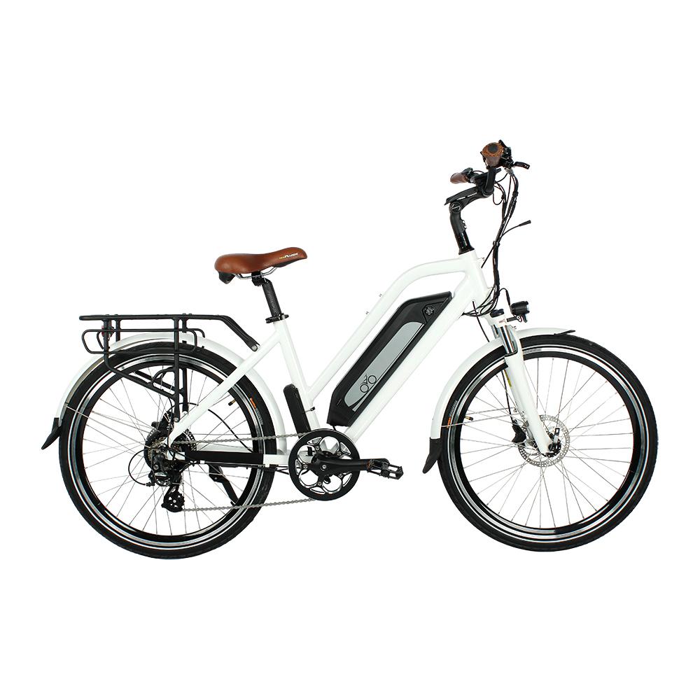 26 Inch Electric Bike