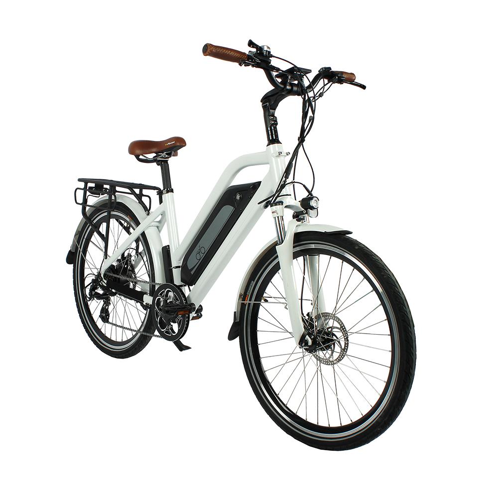 26 Inch Electric Bike