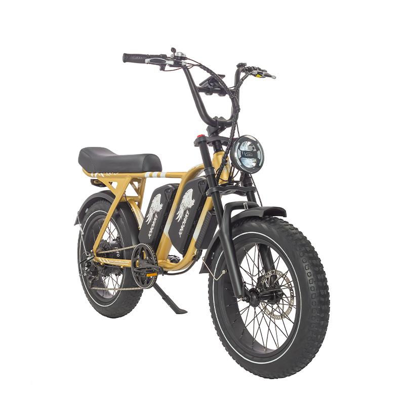 Engineered for Excellence: What Sets a True High-Performance E-Bike Apart