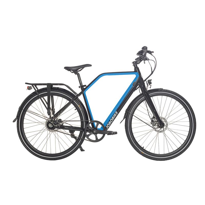 Lightweight Electric Bike