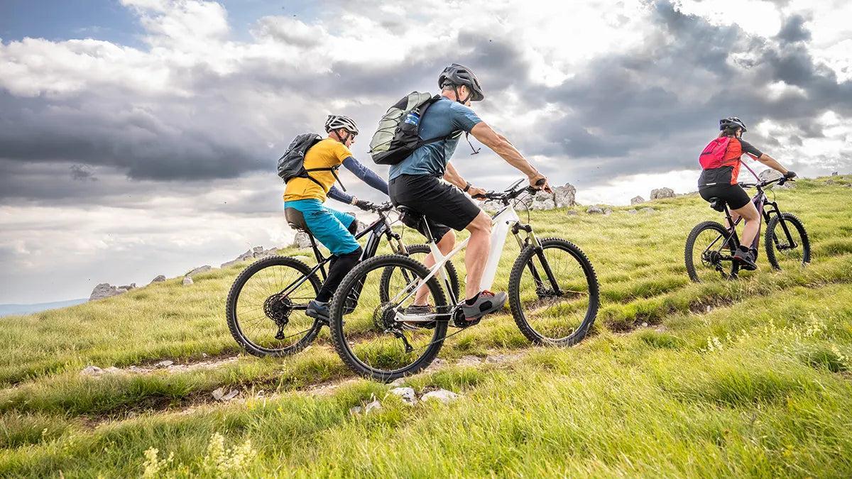Off Road Electric Bike Supplier: Built for Tough Terrain and Real Performance