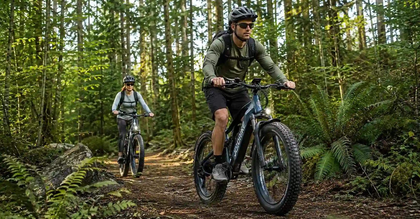 Electric Bike Private Label Manufacturer: How to Build Your Own E-Bike Brand