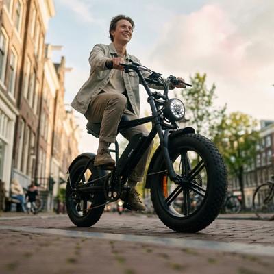 Steel Fat Tire Electric Bike