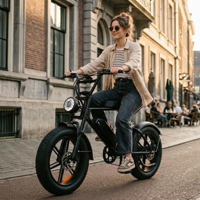 Steel Fat Tire Electric Bike