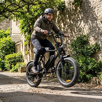 Steel Fat Tire Electric Bike