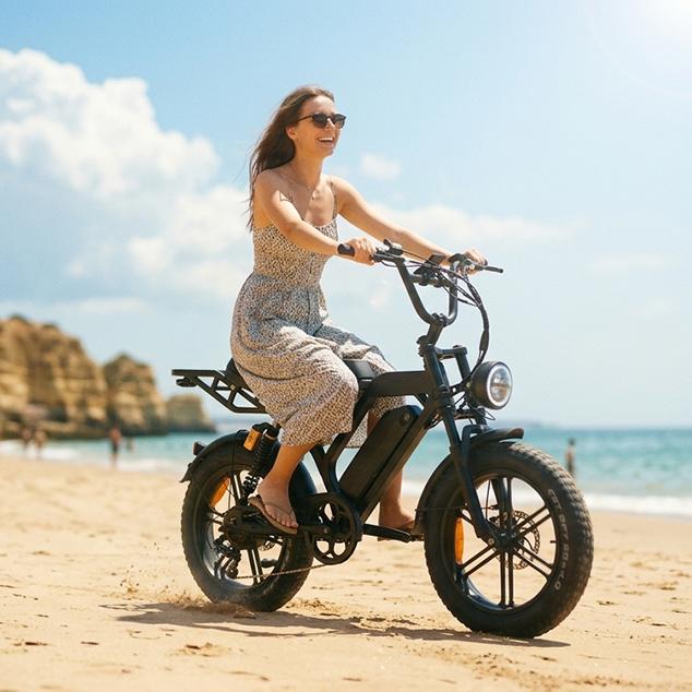 20-Inch Steel Dual Suspension E-Bike