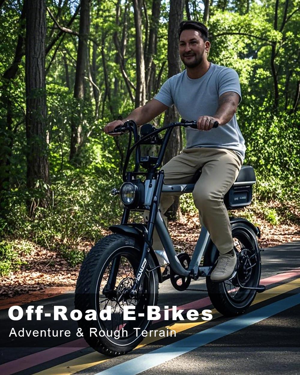 Dominate Every Trail with a Off-Road Electric Bike