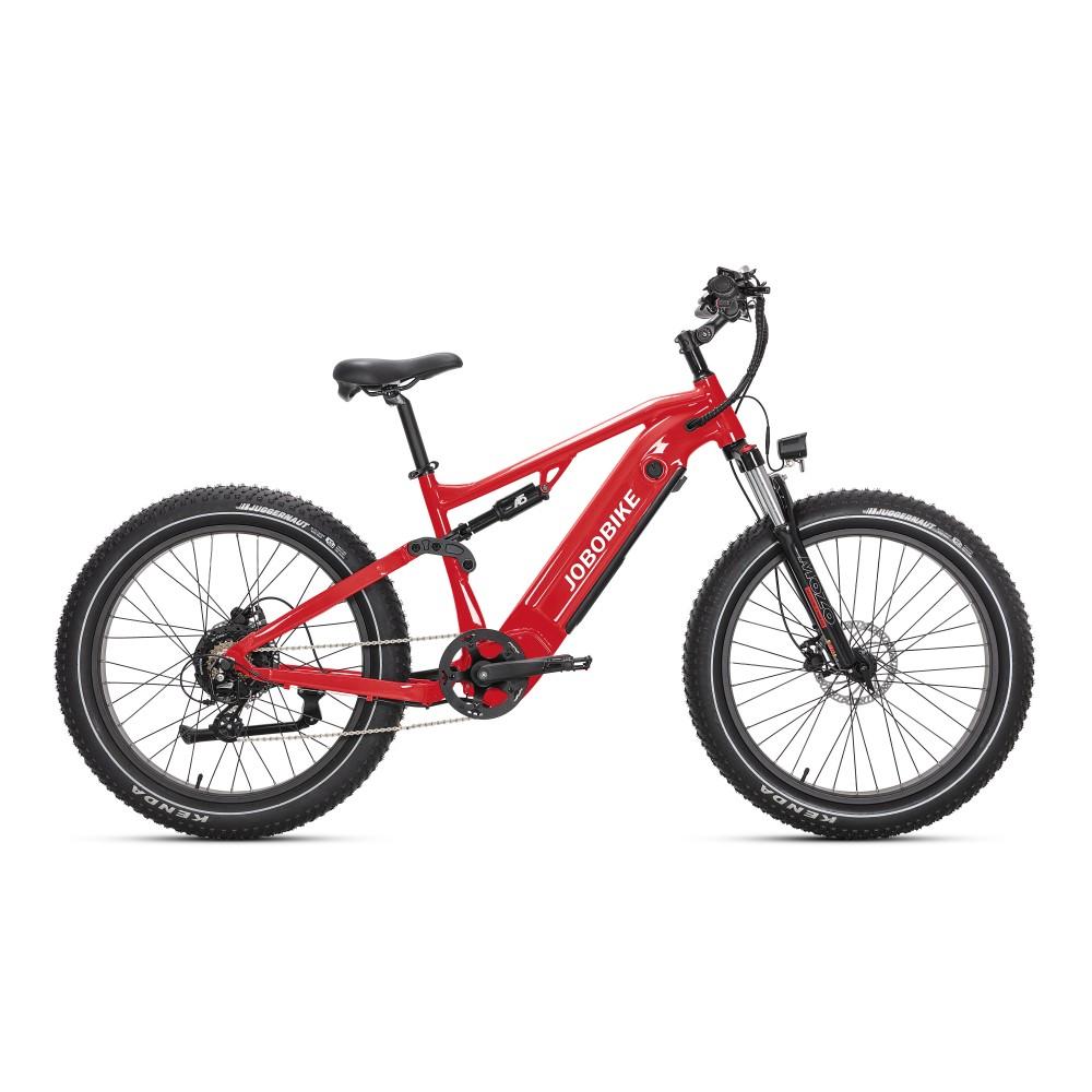 MTB Electric Bike