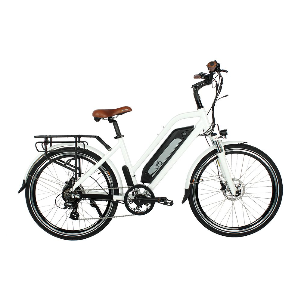 26 Inch Electric Bike