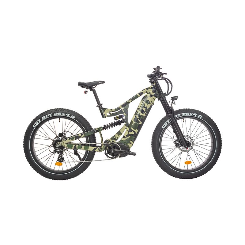 Bicicleta eléctrica de 1000W.