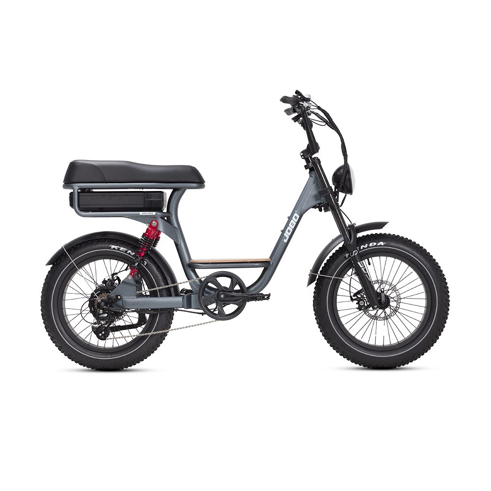 Fat Tire Electric Bicycle