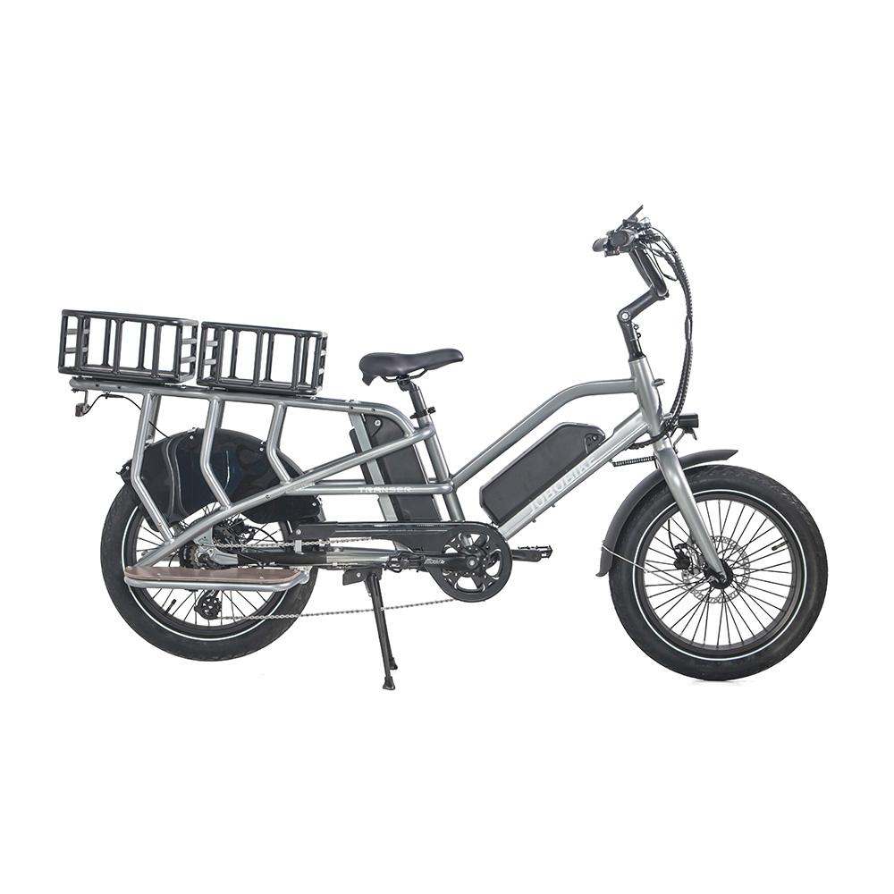 Family Electric Bike Family Electric Bike