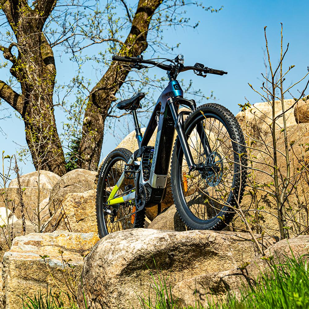 How to Choose the Right Electric Bike OEM Partner in China How to Choose the Right Electric Bike OEM Partner in China