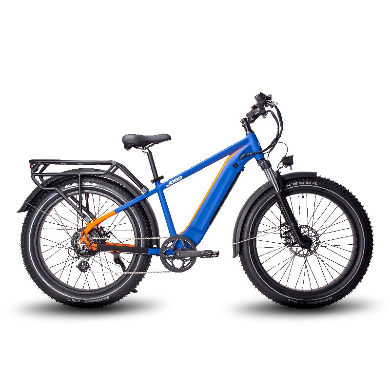Fat Tire Elektrofahrrad für Erwachsene Fat Tire Elektrofahrrad für Erwachsene