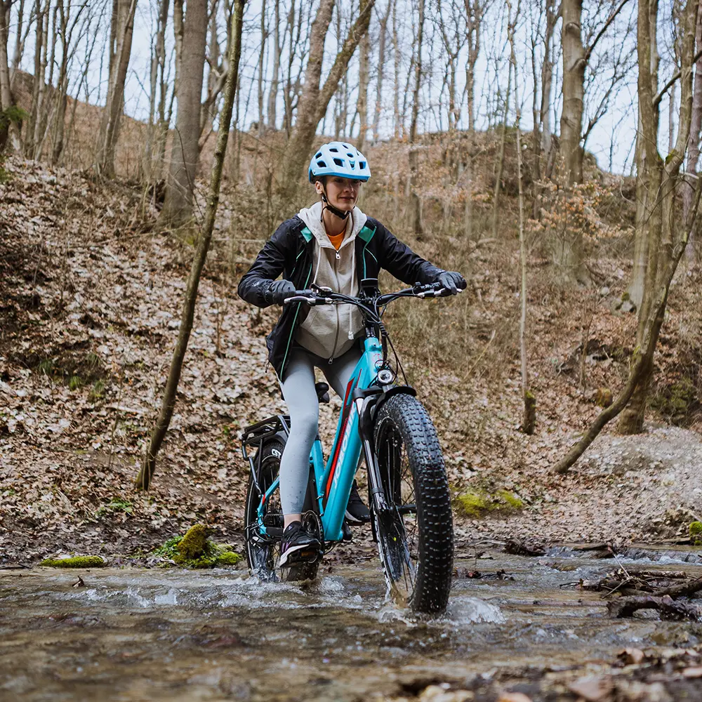 Fat Tire Electric Mountain Bike Fat Tire Electric Mountain Bike