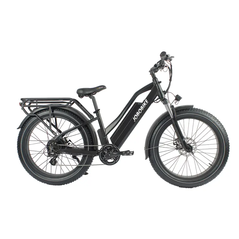Fat Tire Electric Mountain Bike Fat Tire Electric Mountain Bike