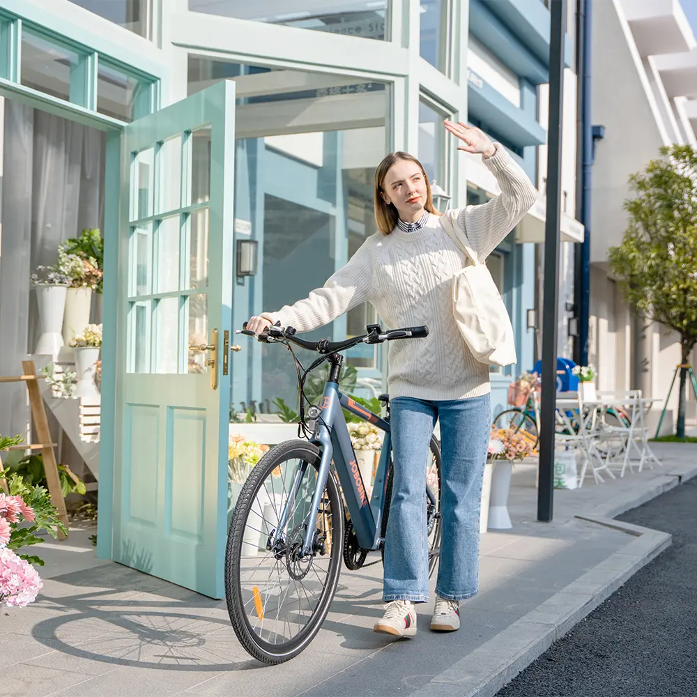 City Commuter E Bike City Commuter E Bike