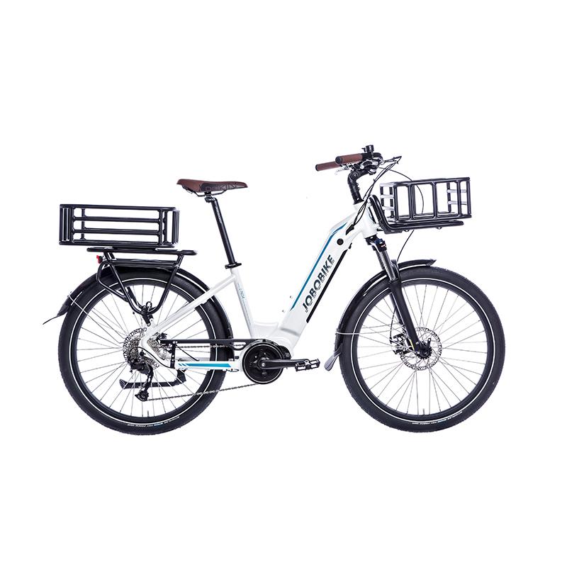 Ladies Electric Bicycle Ladies Electric Bicycle