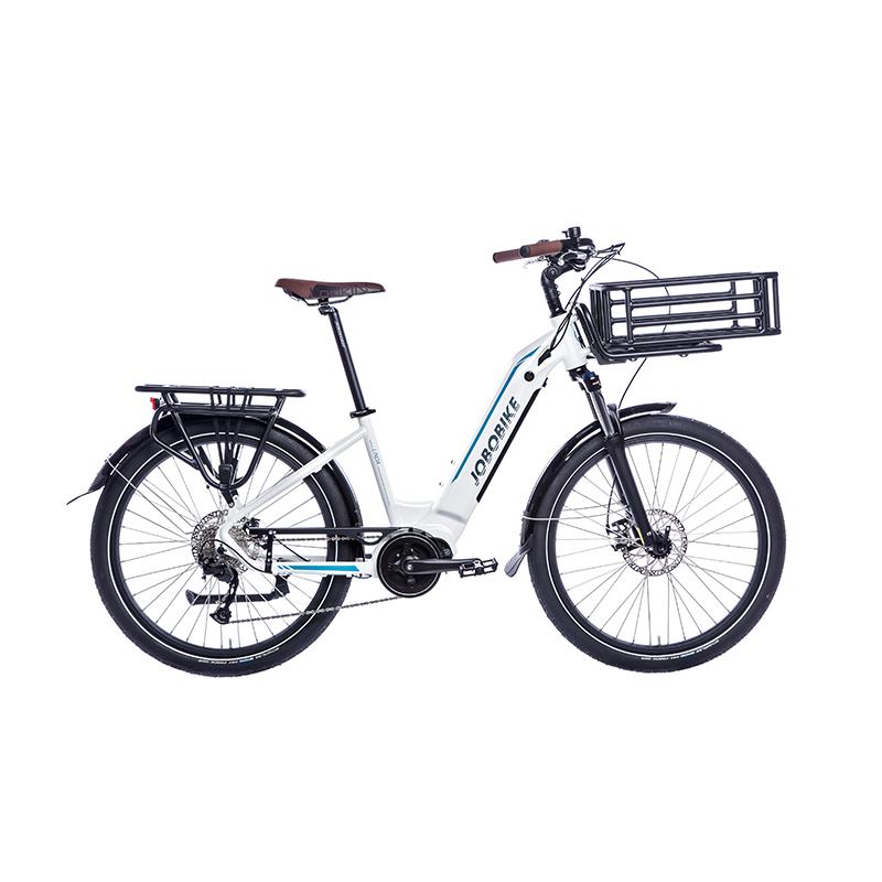 Ladies Electric Bicycle Ladies Electric Bicycle
