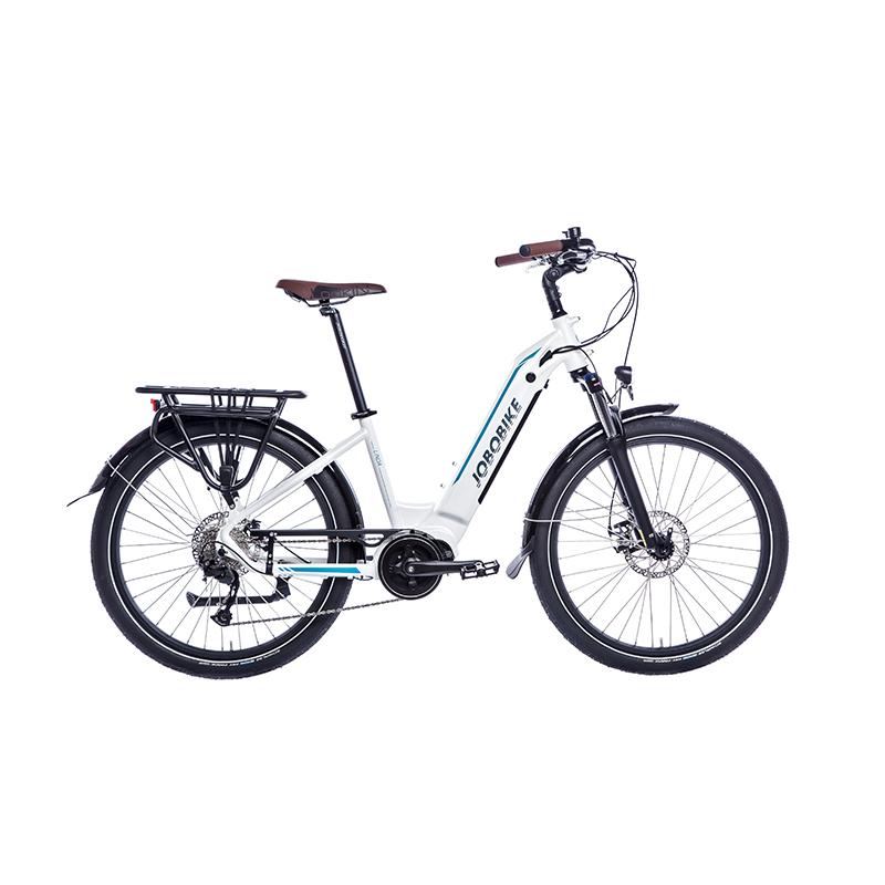 Ladies Electric Bicycle Ladies Electric Bicycle