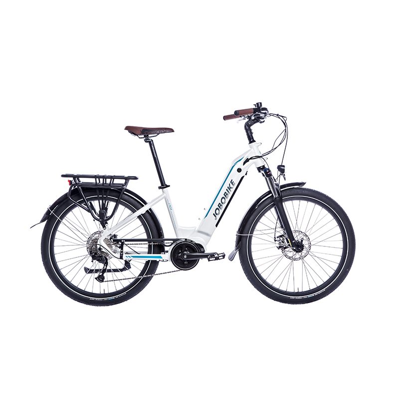 Ladies Electric Bicycle Ladies Electric Bicycle