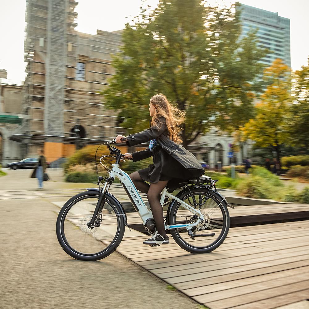 Ladies Electric Bicycle Ladies Electric Bicycle