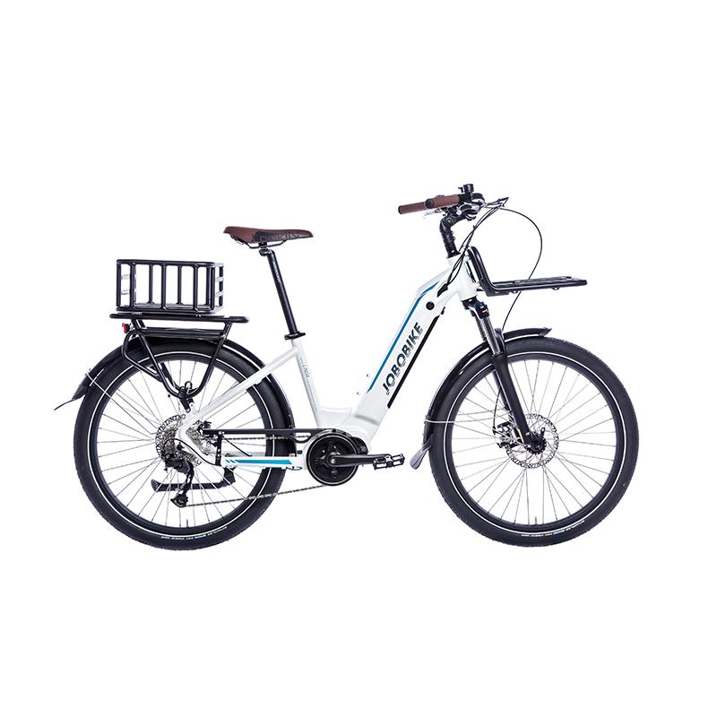 Ladies Electric Bicycle Ladies Electric Bicycle