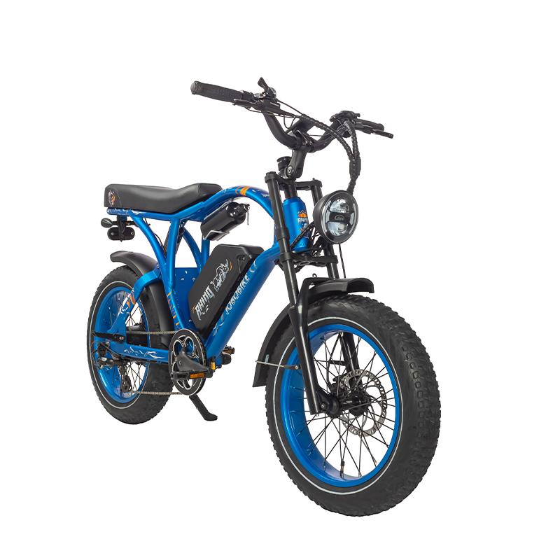 Off Road Electric Bicycle Off Road Electric Bicycle