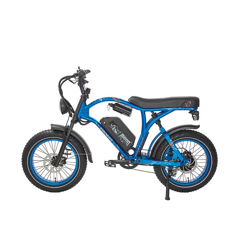 Off Road Electric Bicycle Off Road Electric Bicycle