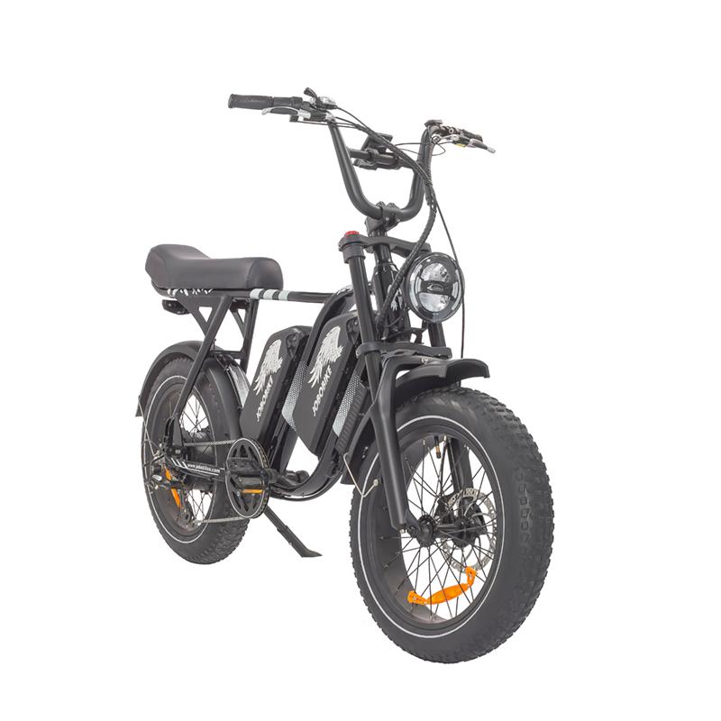 Dual Battery Electric Bike Dual Battery Electric Bike