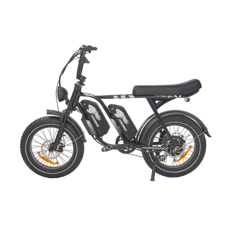 Dual Battery Electric Bike Dual Battery Electric Bike