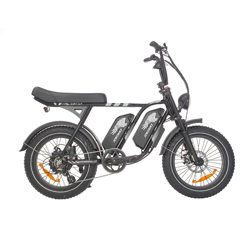 Dual Battery Electric Bike Dual Battery Electric Bike