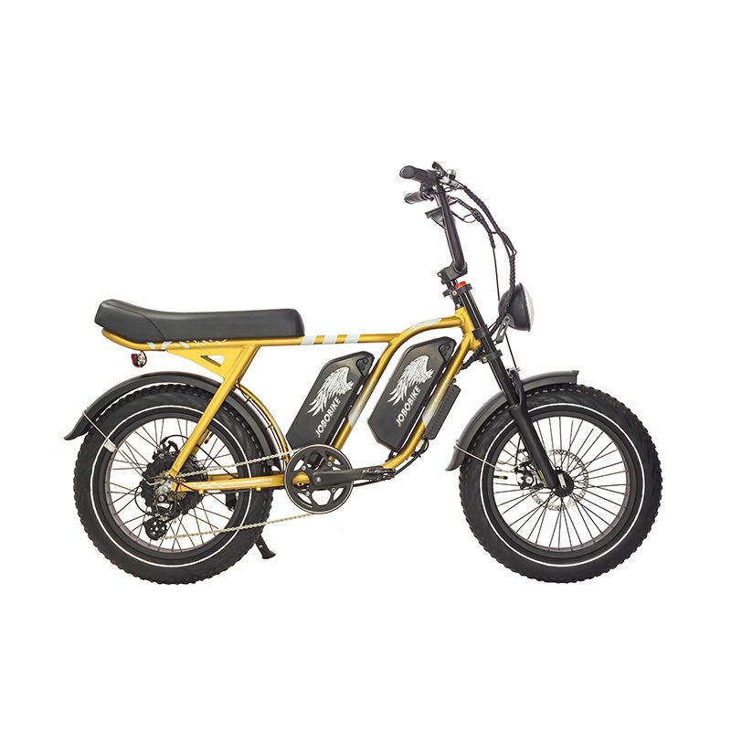 Dual Battery Electric Bike Dual Battery Electric Bike