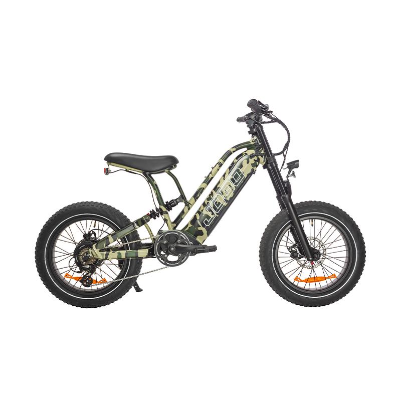 Regional Standards, Global Output: Managing Compliance in Multi-Market E-Bike Launches Regional Standards, Global Output: Managing Compliance in Multi-Market E-Bike Launches
