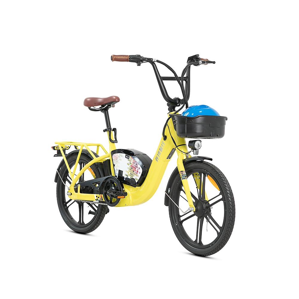 Shared Electric Bike Shared Electric Bike